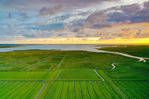 Drohnenfotografie Schleswig-Holstein